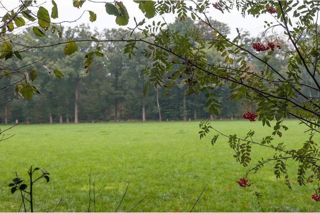 Vakantiepark De Twee Bruggen gallery 1