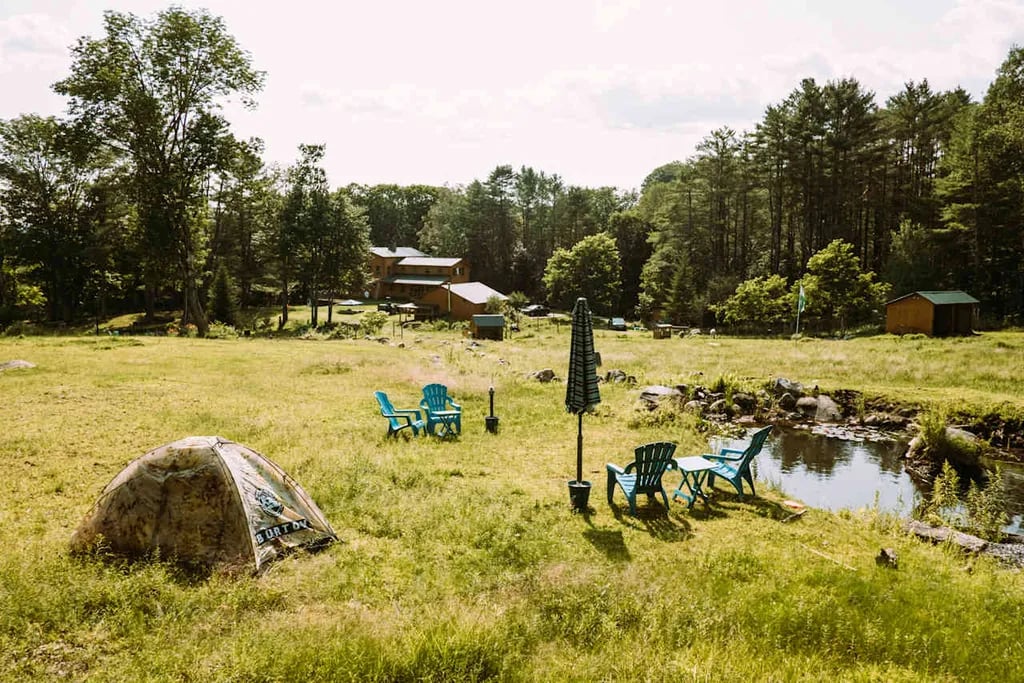 Willoughby Farm Animal Rescue gallery 2