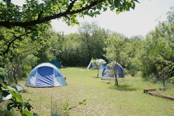 Camp Full Monte gallery 3