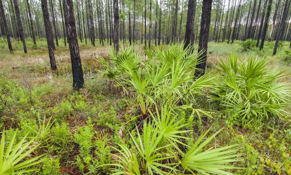 Lake George Conservation Area gallery 1
