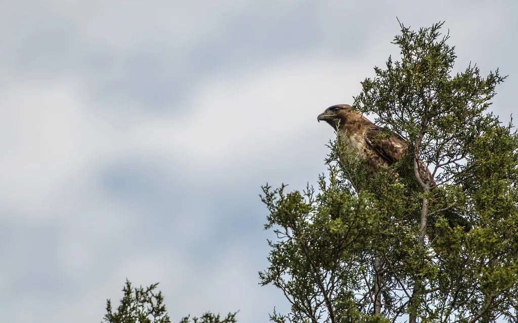 Paonia State Park Campground gallery 3