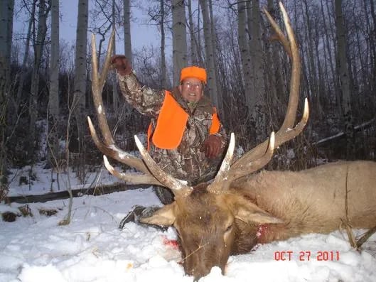 Pleasant Valley Cabins and Campground, 84100 East US Highway 50, Cimarron, Colorado, 81220