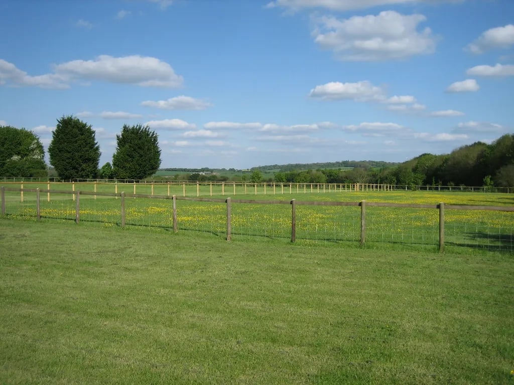 Balldown Touring Caravan Park gallery 3