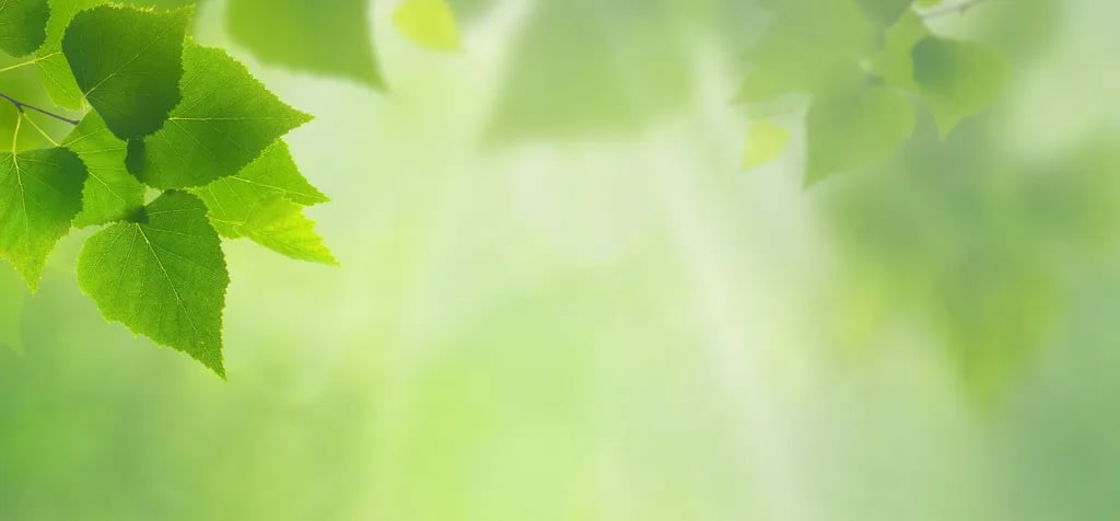 Mini Camping Dorpszicht gallery 3