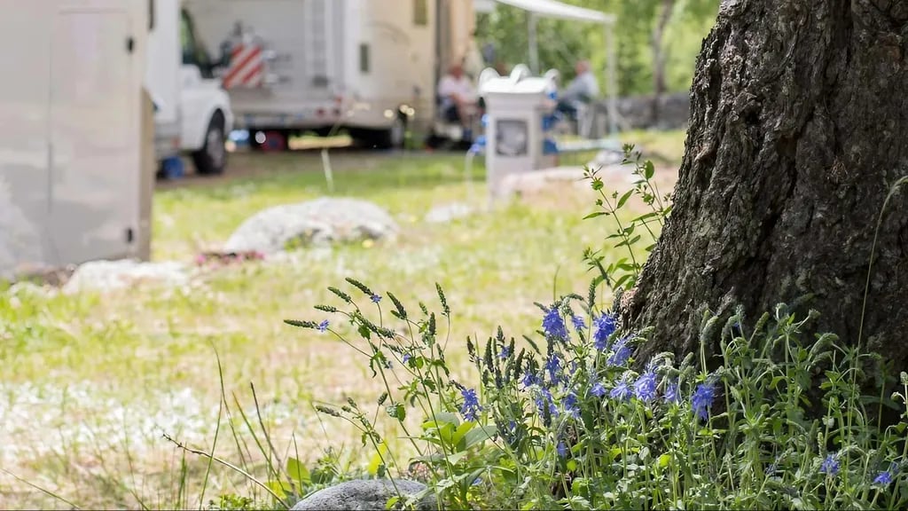 Camping Grandes Jorasses gallery 3