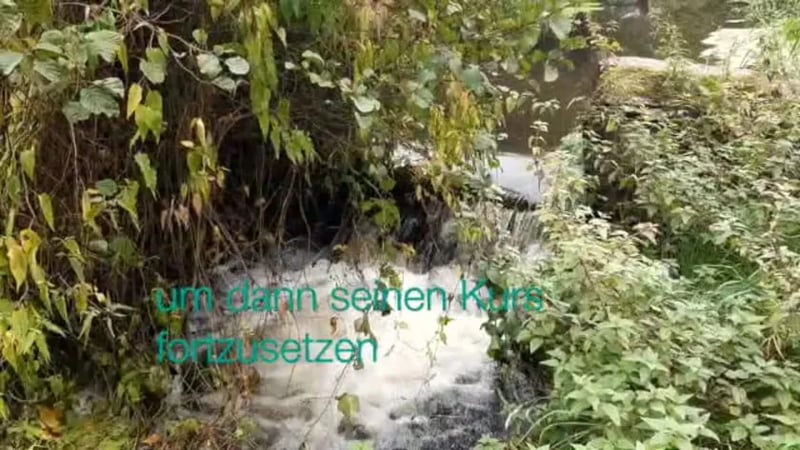 Strotzbüscher Mühle gallery 2