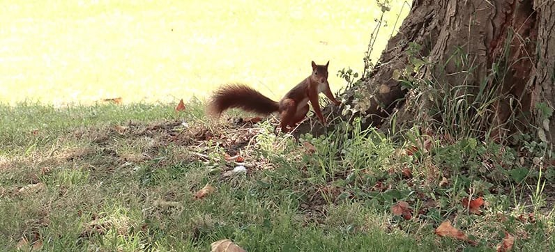 Camping Stadt Köln gallery 1