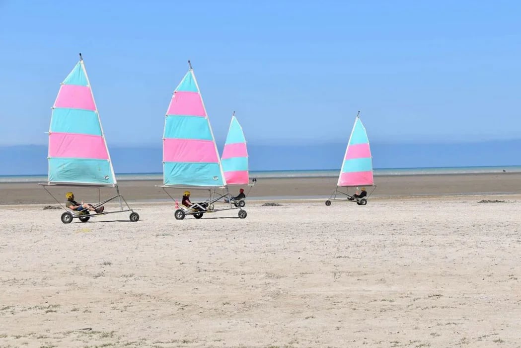 Flower Camping Bel Air gallery 4