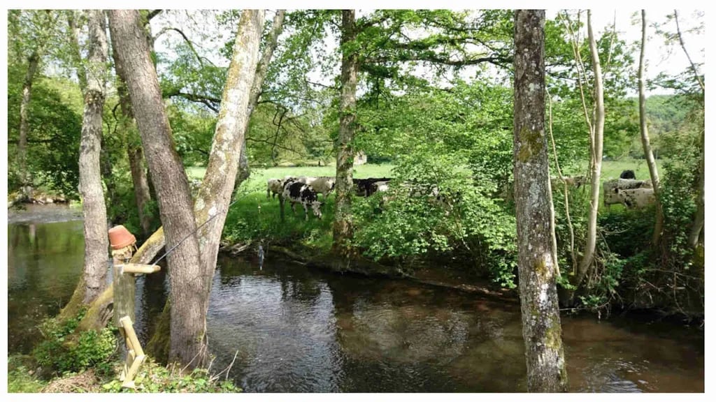 Camping de la Rouvre gallery 2