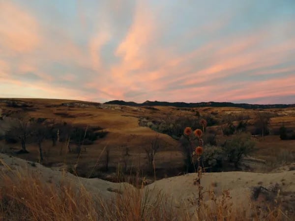 High Plains Homestead