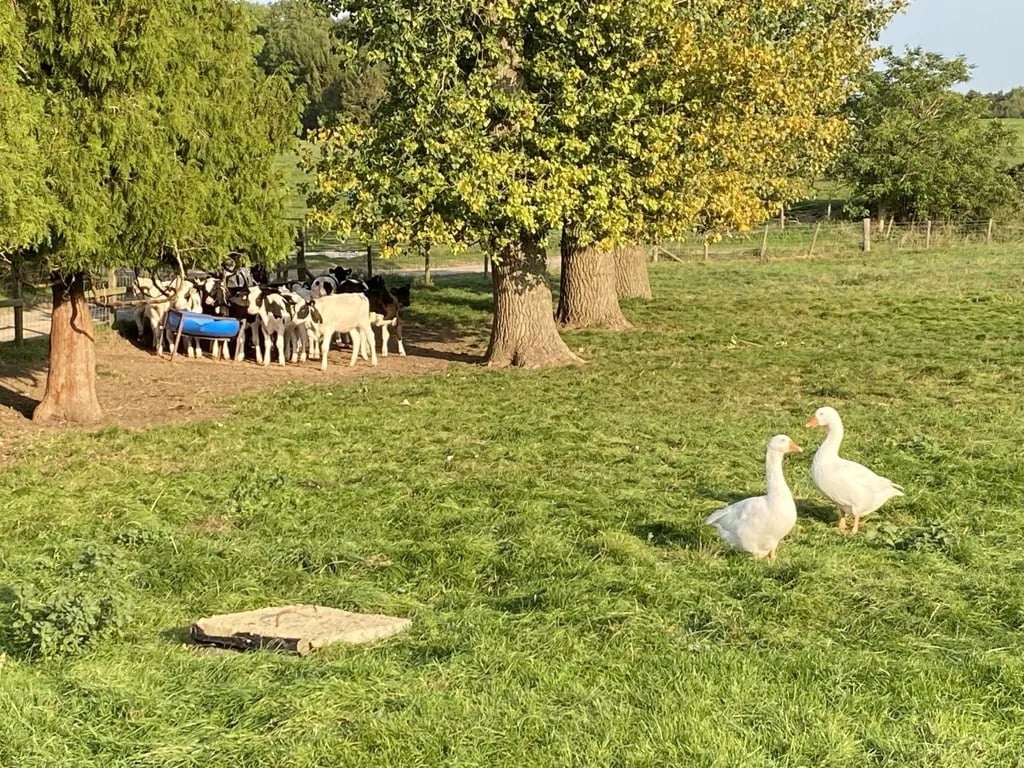 Michelmersh Manor Farm gallery 1