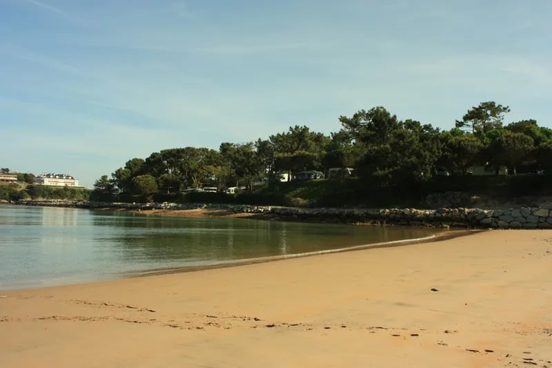 Camping El Rosal gallery 2