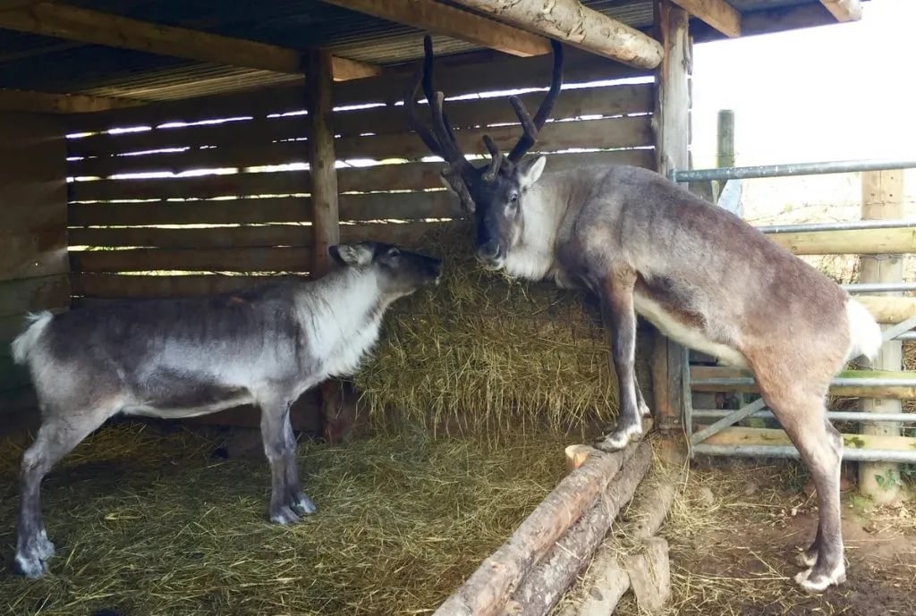 Easthope Caravan and Camping