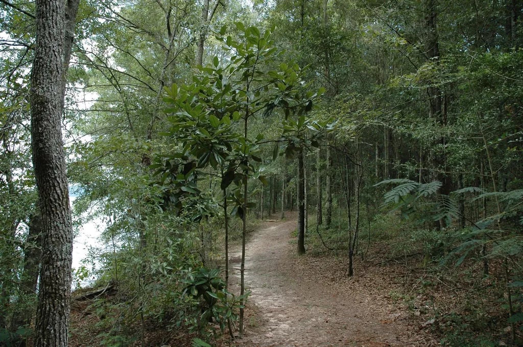 Frank Jackson State Park Campground gallery 3