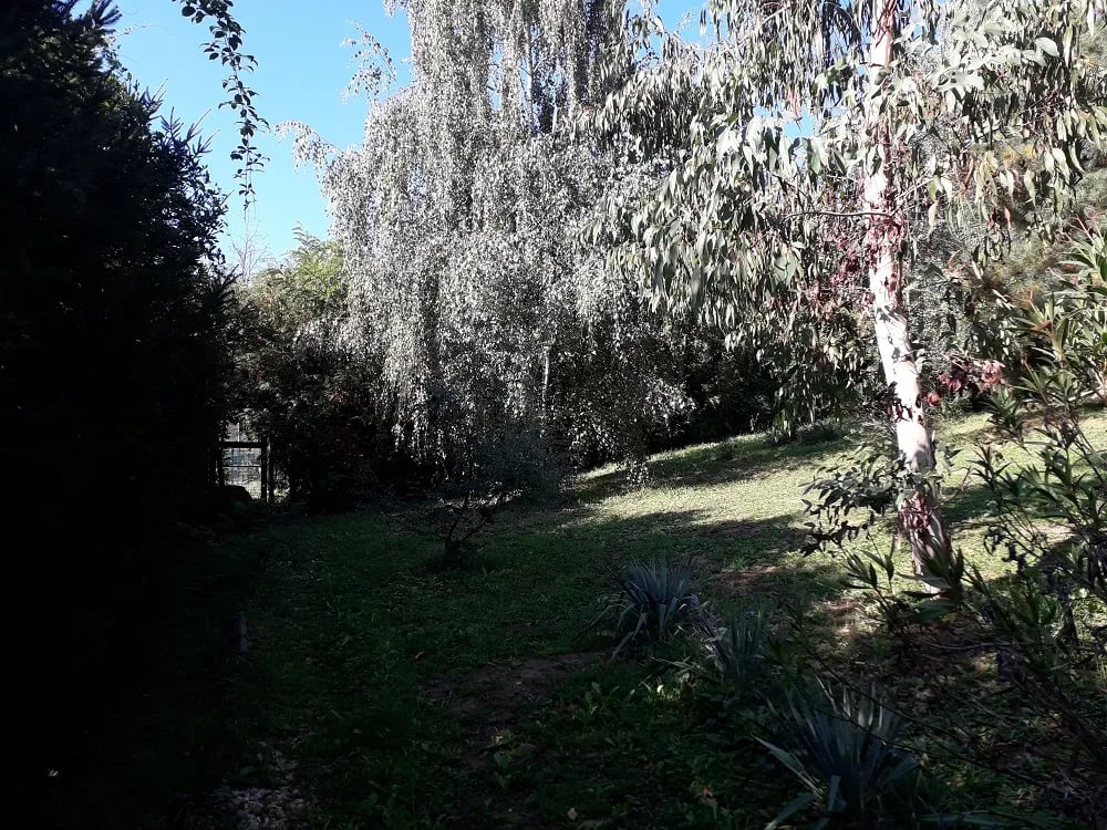 Nature Camp Eucalyptus gallery 1