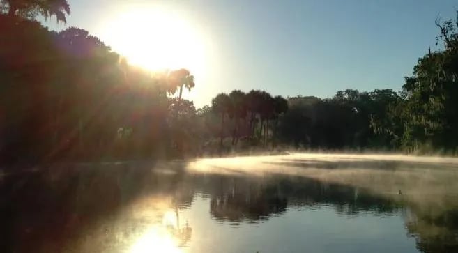 Wild Frontier RV Resort gallery 3