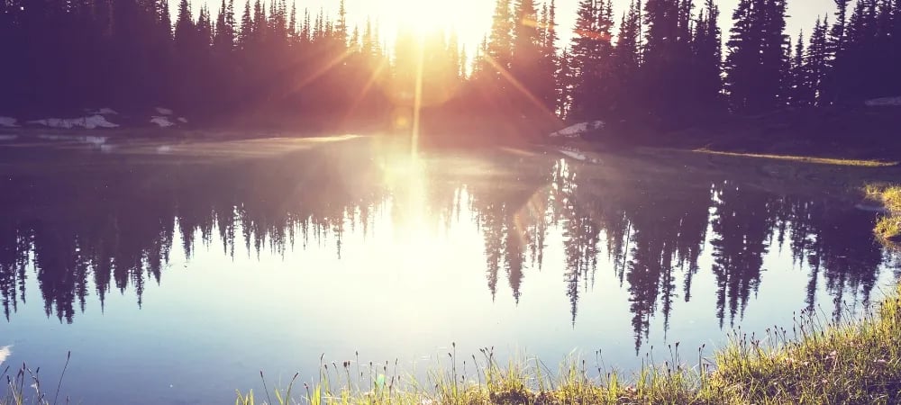 Camping Relais du Léman gallery 3