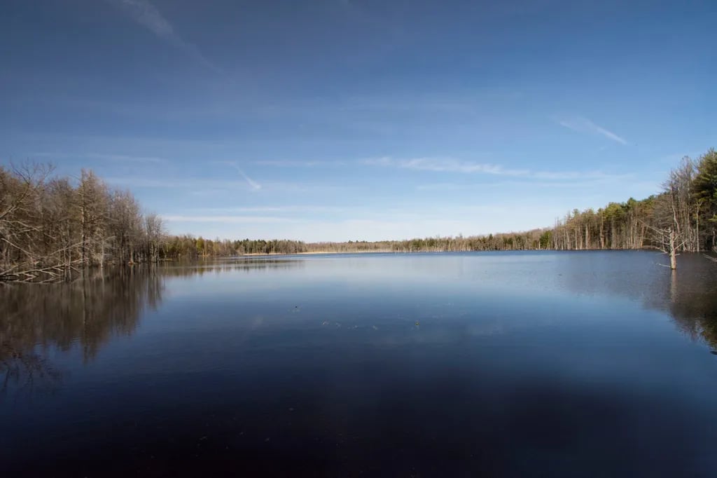 Whispering Woods Campground gallery 2