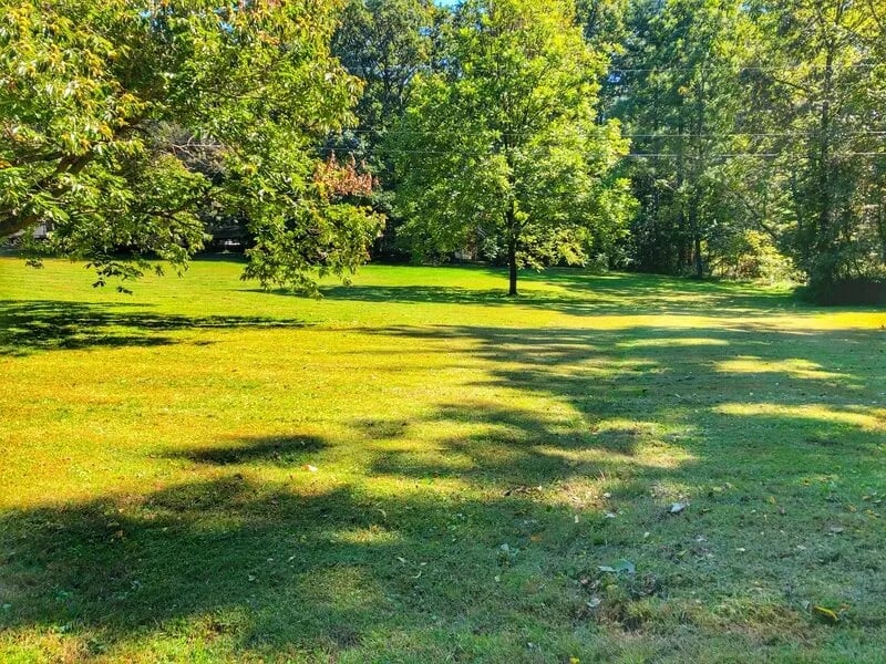 Blue Ridge Travel Park gallery 2