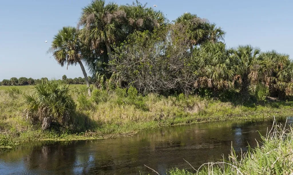 Persimmon Mound gallery 1