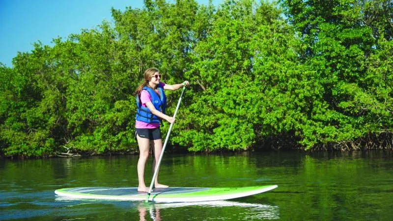 Oleta River State Park Campground gallery 1