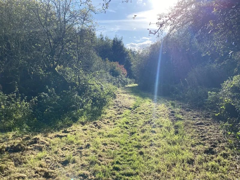 Pinewood Lodge gallery 2