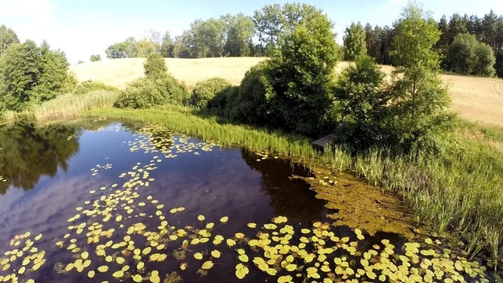 Camping Wajk gallery 1