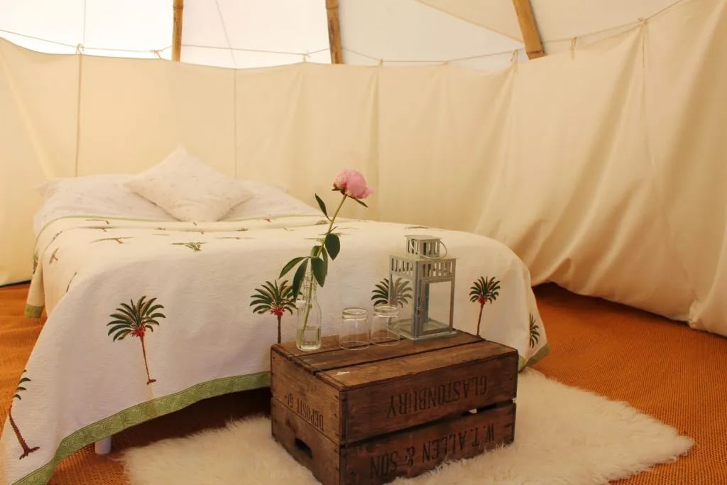 Pennard Orchard gallery 1