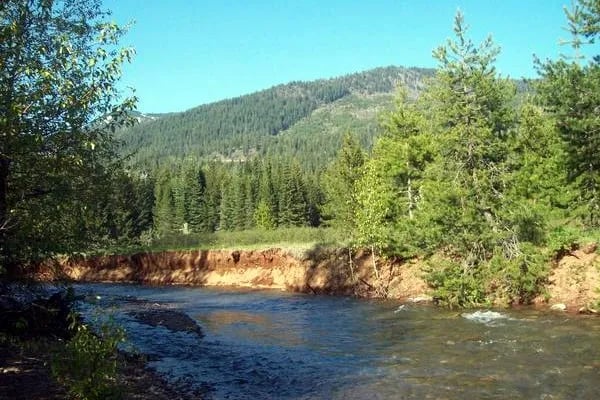 Silver Ridge Ranch gallery 3