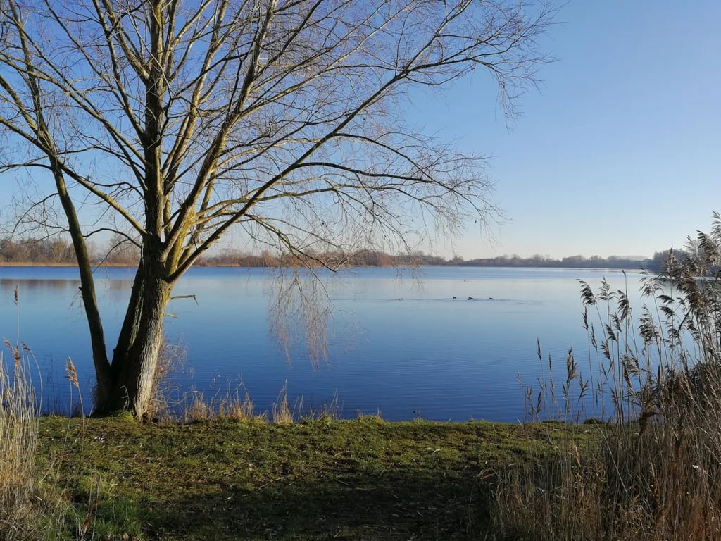 Glamping Universe gallery 1