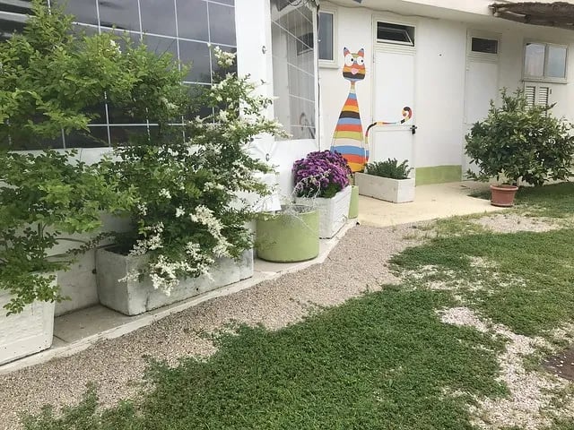 Campeggio La Lucciola gallery 3