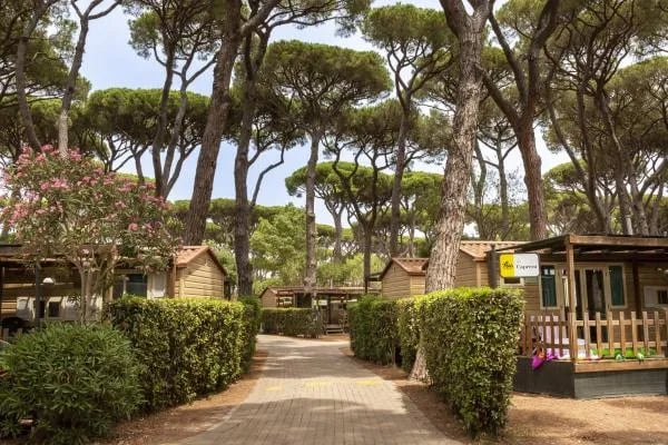 Hu Park Albatros Village gallery 3