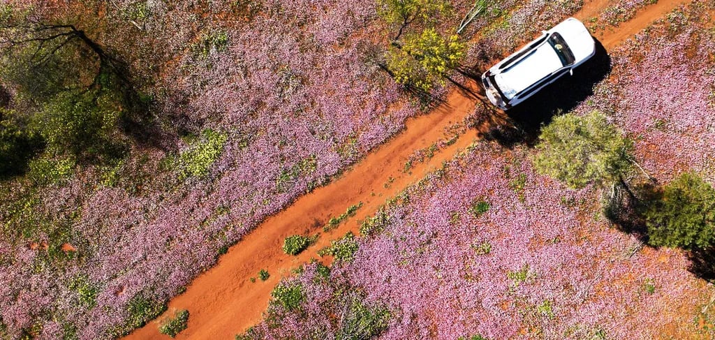 BIG4 Denmark Ocean Beach Holiday Park gallery 2