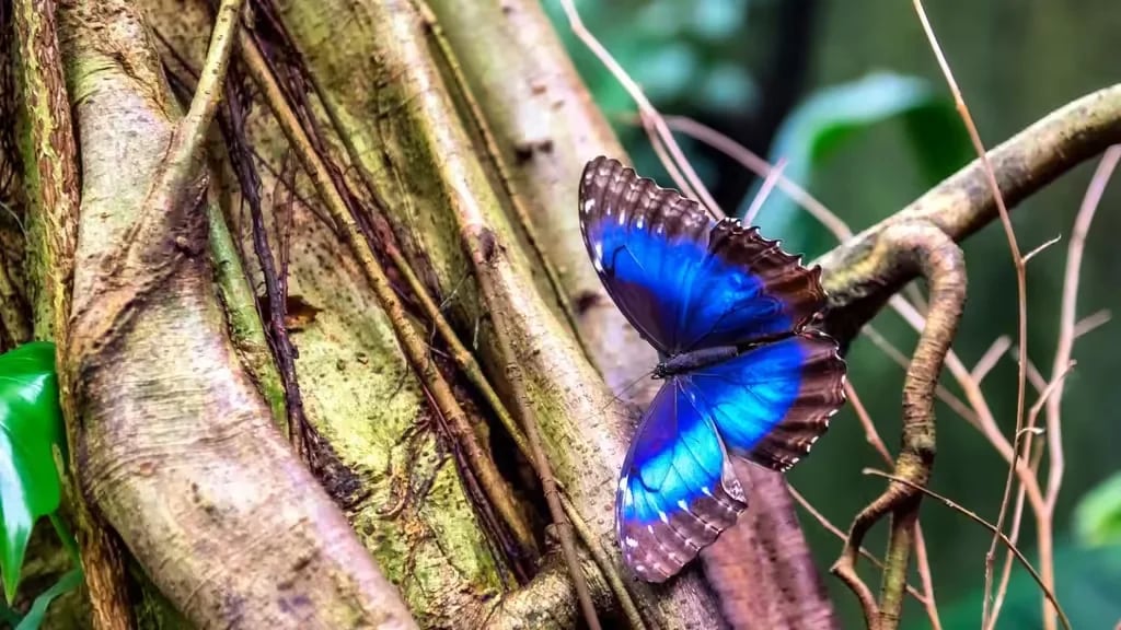 DCU-Camping Aarhus – Blommehaven gallery 1