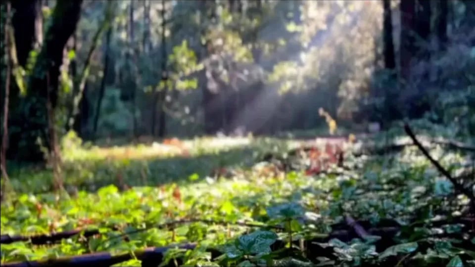 Smithwoods RV Park gallery 1