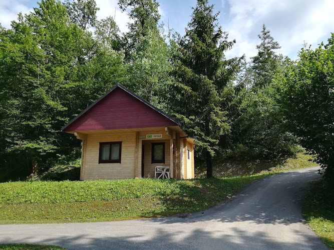 Camp Smlednik
