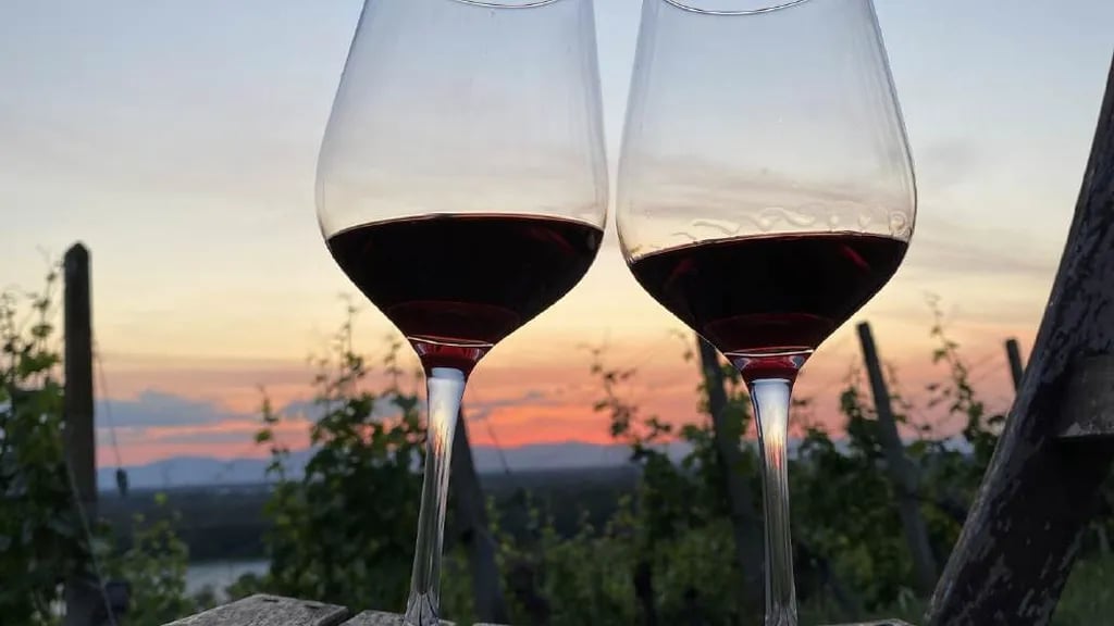 Campingpark Lug ins Land gallery 1