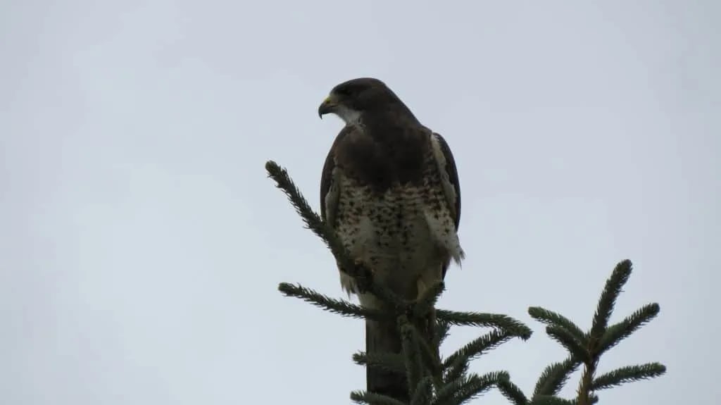 Riverbend Campground gallery 2