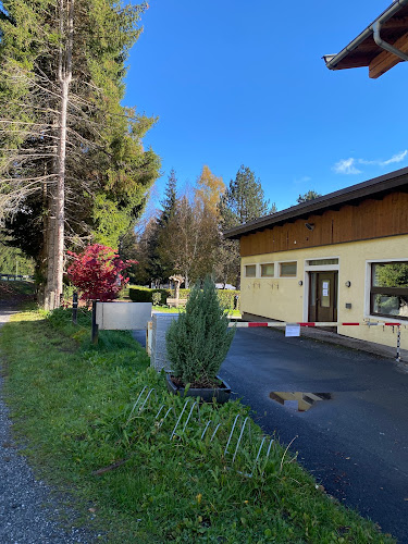 Camping Zur Mühle