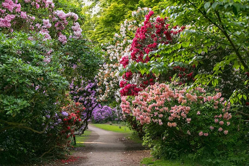 Breck Farm Caravanning and Camping