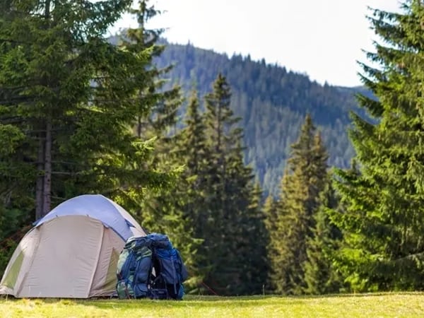 Camping Porte des Alpilles gallery 3