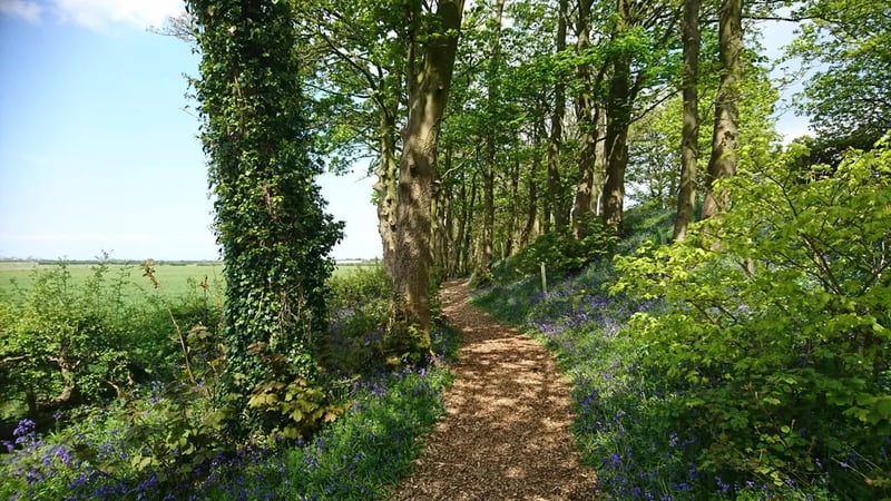 Moss Wood Caravan Park gallery 2