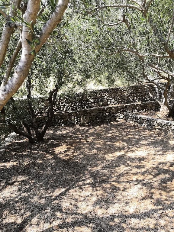 Camp Kanun gallery 2