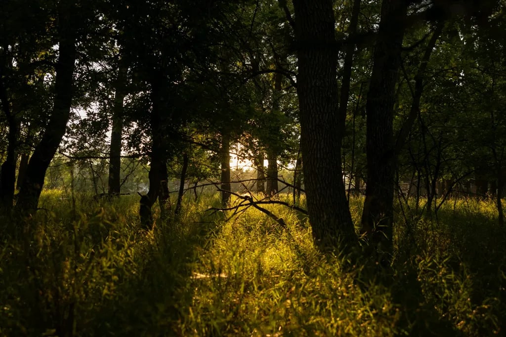 Mellow Moose Campground