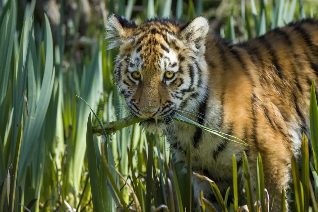 Oak Lodge Retreat gallery 2