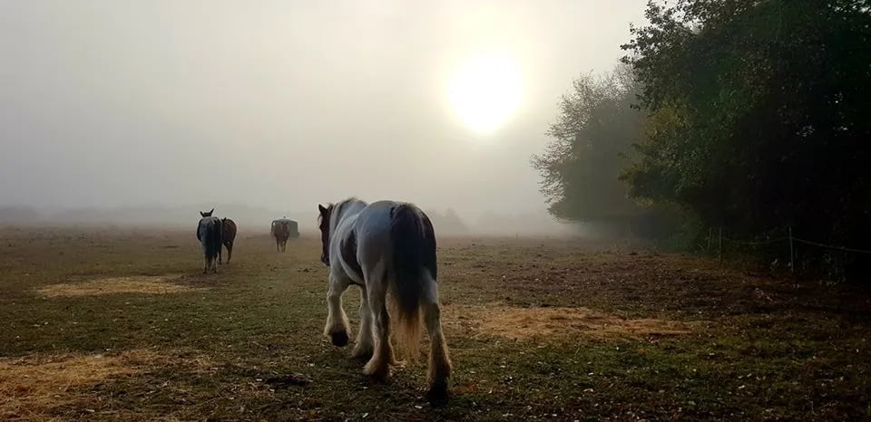 Les Cabanes de Graville gallery 2