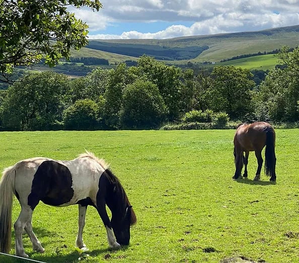 Aber Glamping