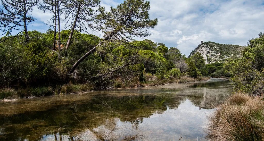 Area Sosta La Pampa gallery 3