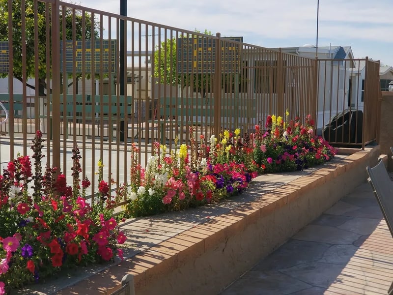 Orangewood Shadows RV Resort (55+) gallery 2