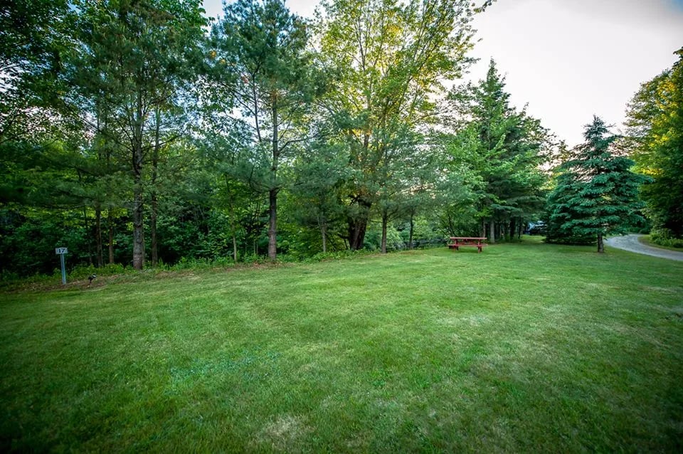 Clear Stream Campground gallery 1